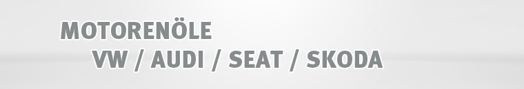 VW / AUDI / SEAT / SKODA